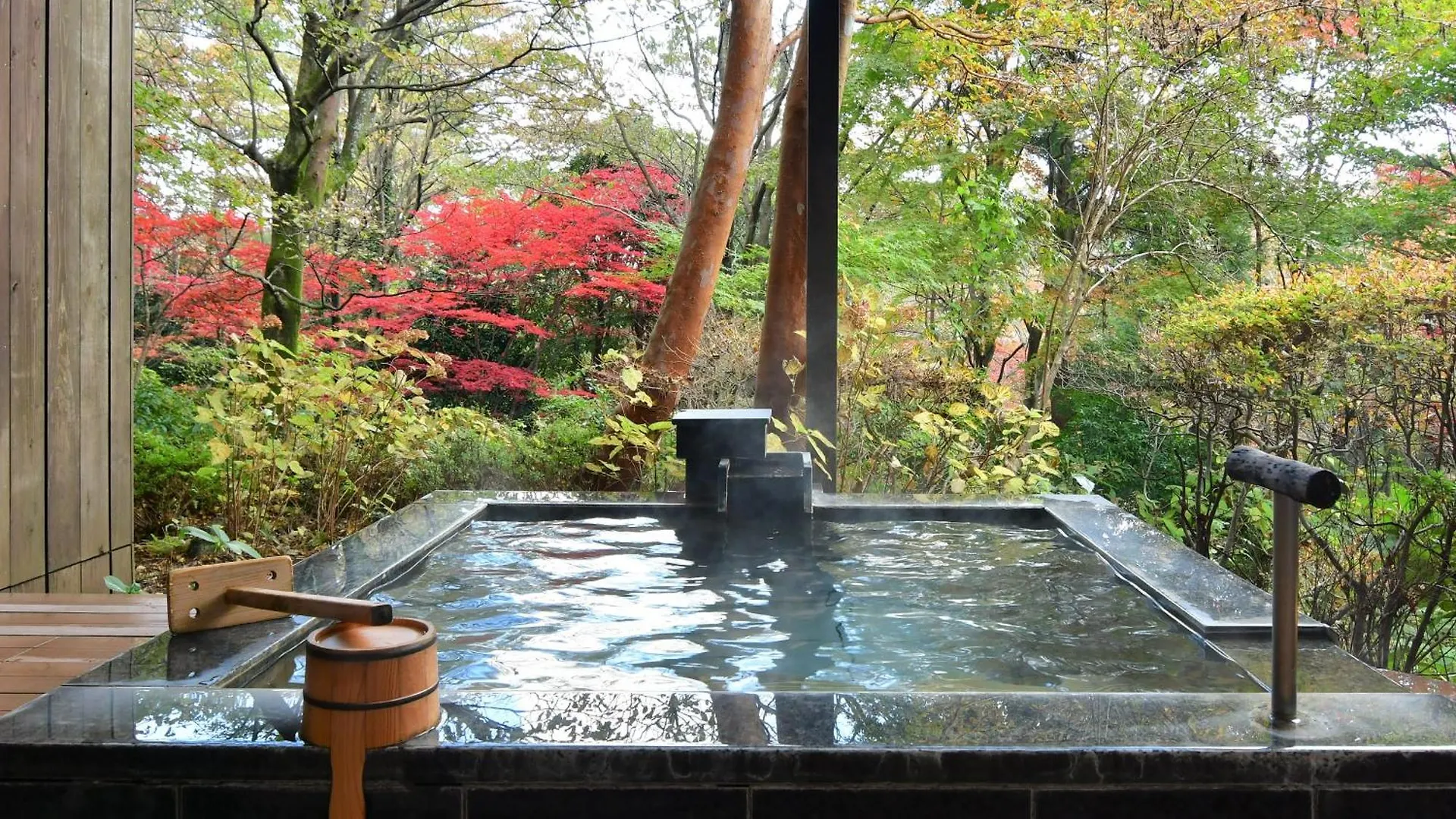 Hotel Hakone Gora Byakudan 5*,